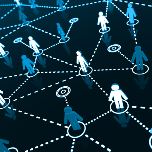 Network Marketing Professional