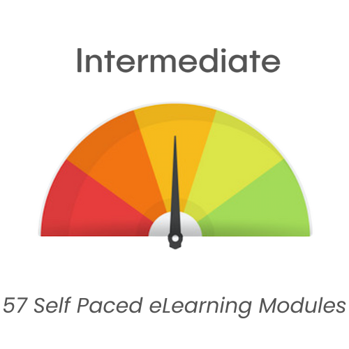 Intermediate