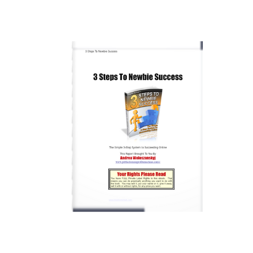 3 Steps to Newbie Success